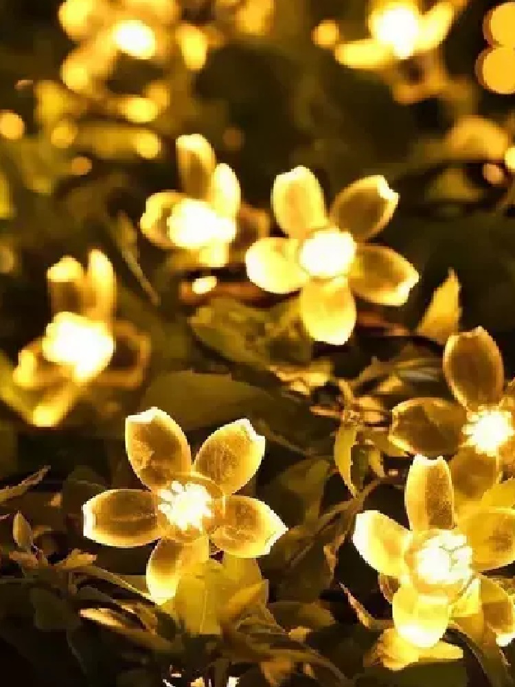 14 LED Blossom String Lights for Home Decoration (Warm White)3.2 Meter Long 2 Pin Plug